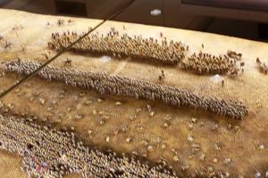 Leedsarmoury-Agincourt-13